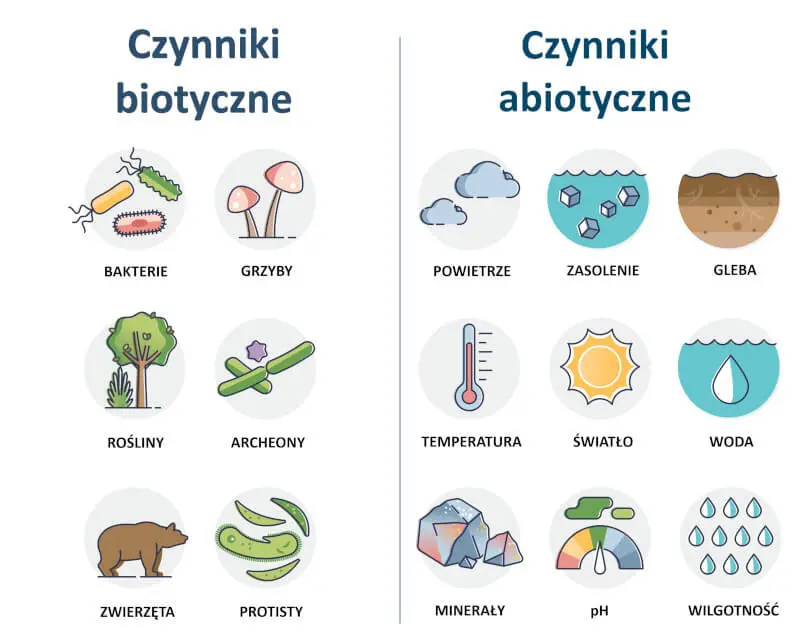 Czynniki biotyczne i abiotyczne
